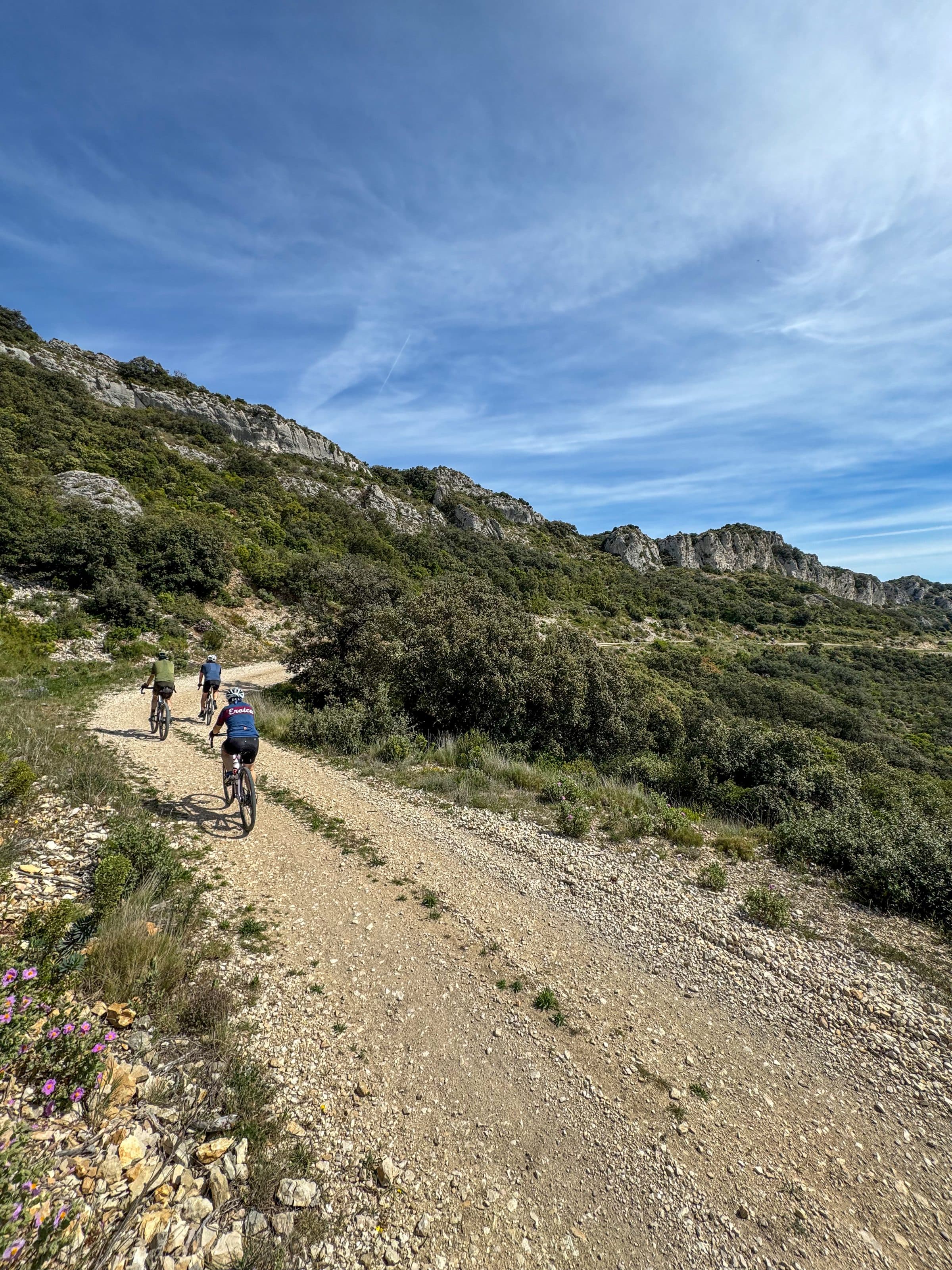 Gruppe von E-Mountainbikes auf einem steinigen Pfad in den Alpilles