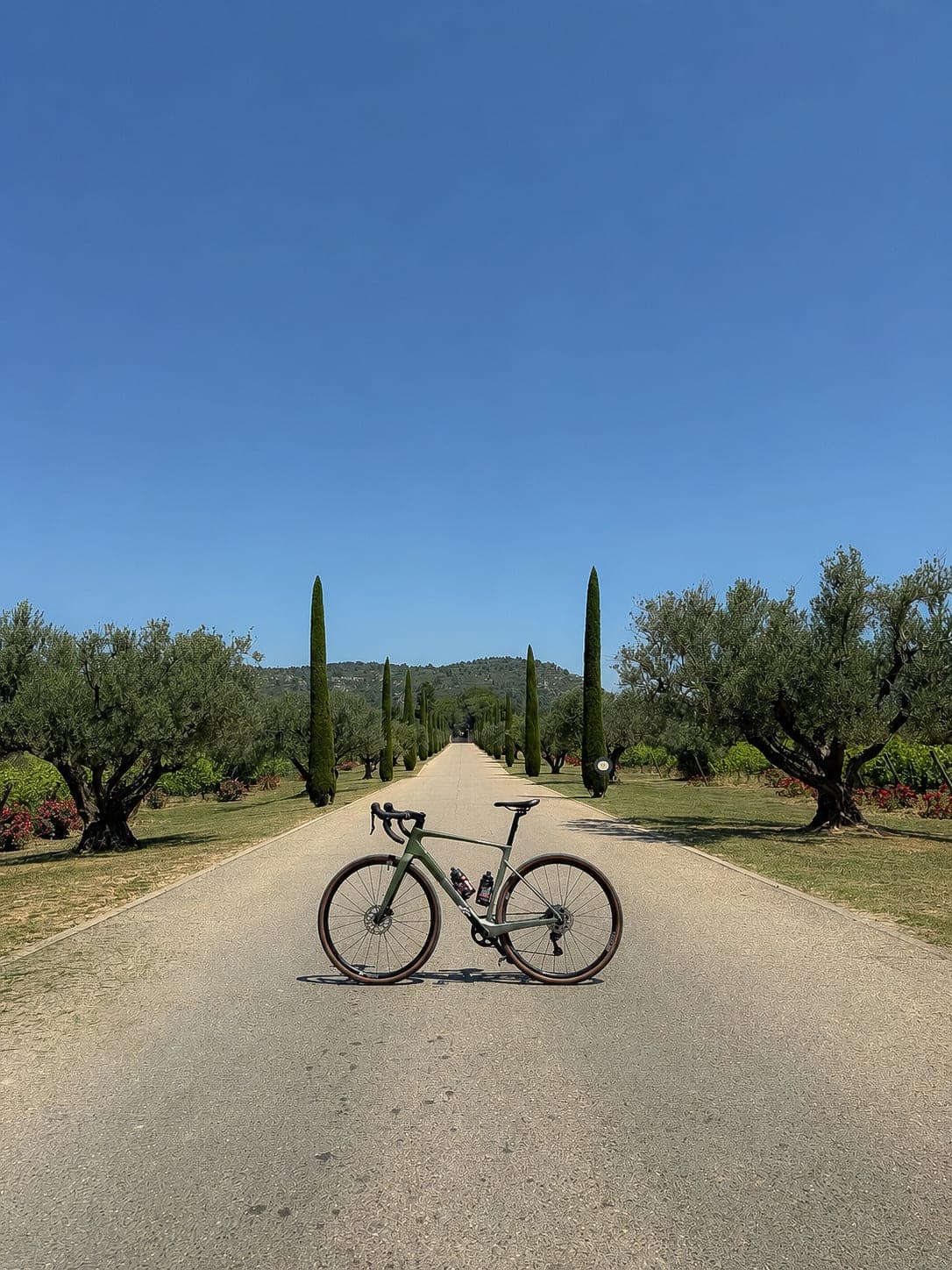 Road bike resting on a gravel pathway lined with cypress and olive trees on a Provençal estate with clear blue sky